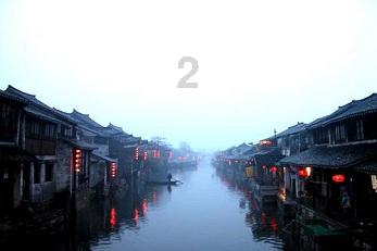 福建“小苗木”出海闯世界